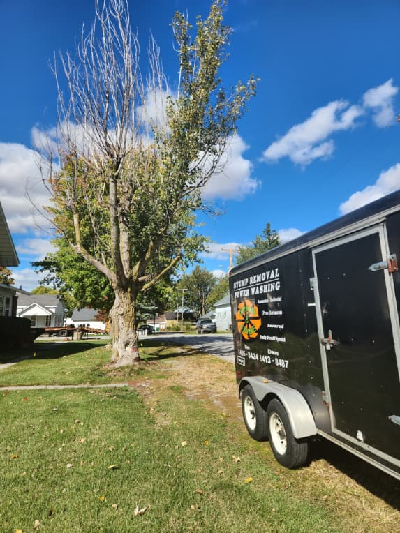 Tree and Stump Removal in Hoagland, IN